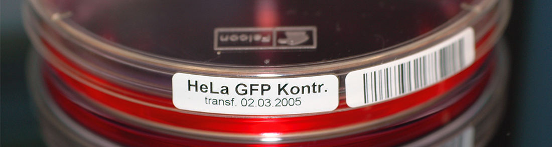 Labor-Etiketten Kunststoff Thermotransfer auf Rolle robuste Laboretiketten drucken