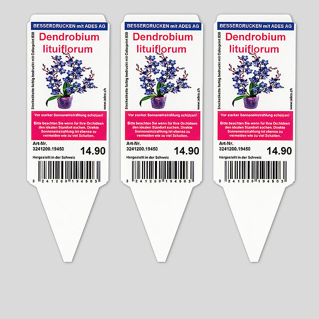 Stecketiketten farbig