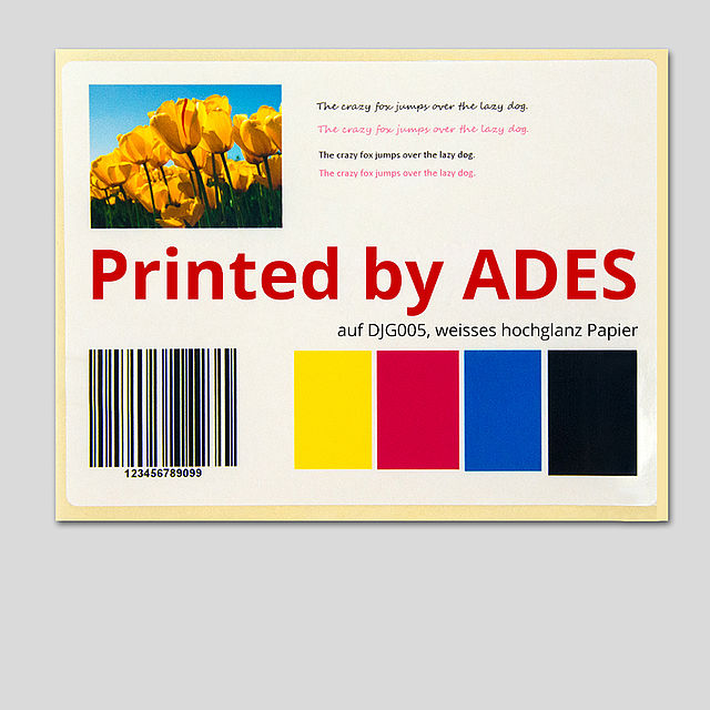 DJG005 Papier-Etiketten