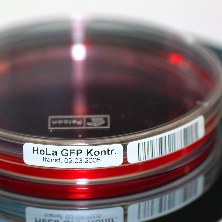 Laboretiketten für Petrischalen und Multiwell Platten