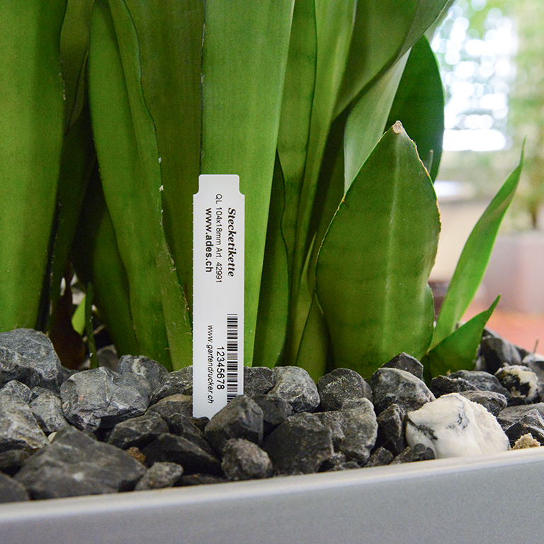 weisse Steckschilder für Blumen und Pflanzen